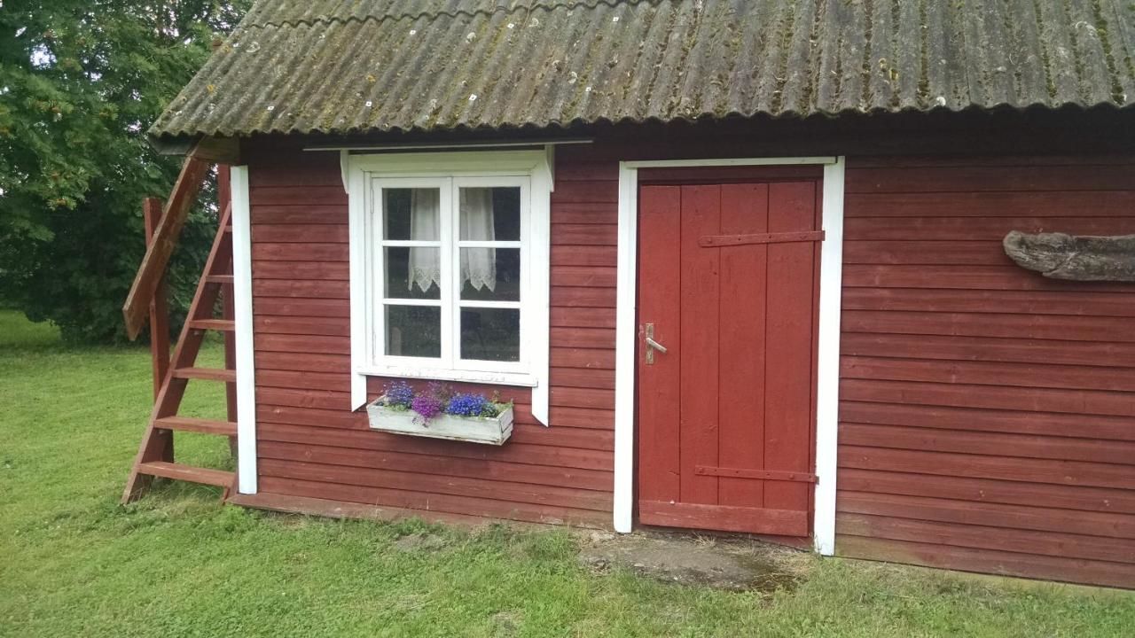 Загородные дома Treimani Summer House Treimani