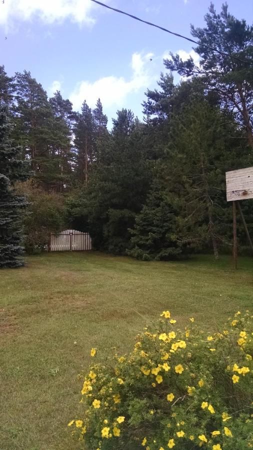 Загородные дома Treimani Summer House Treimani